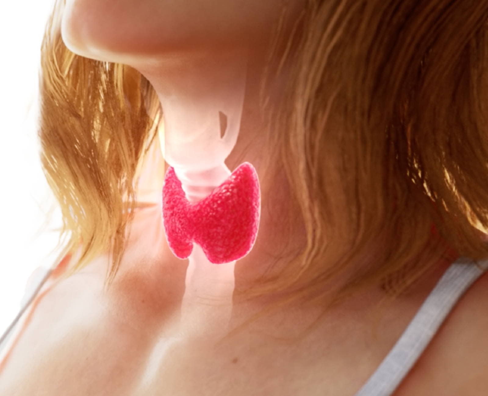 Understanding Thyroid Health: Why It Matters and How to Maintain It